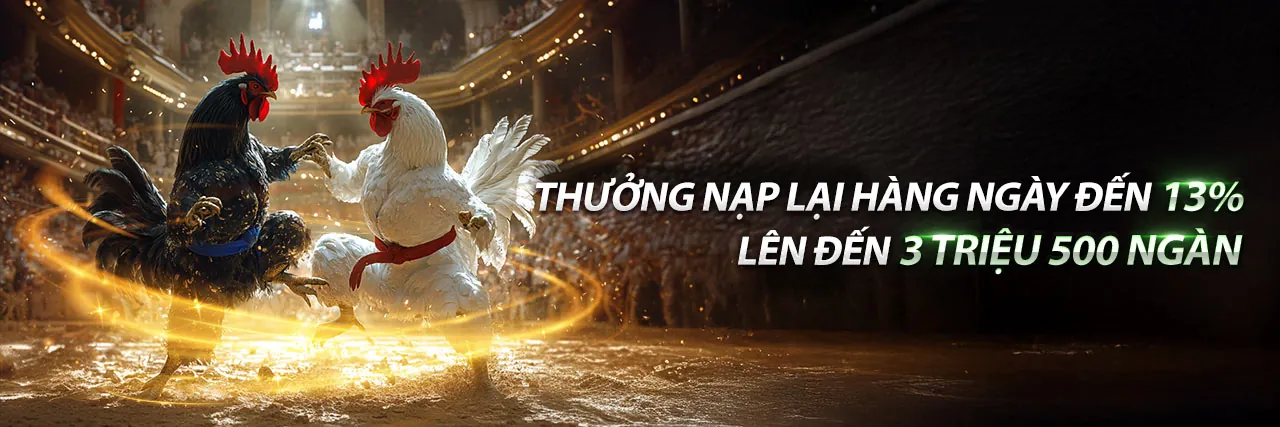 Hình ảnh chính new88 link mới nhất