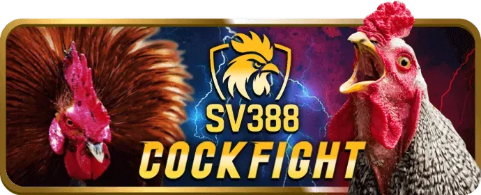 Đá gà Thomo tại NEW88